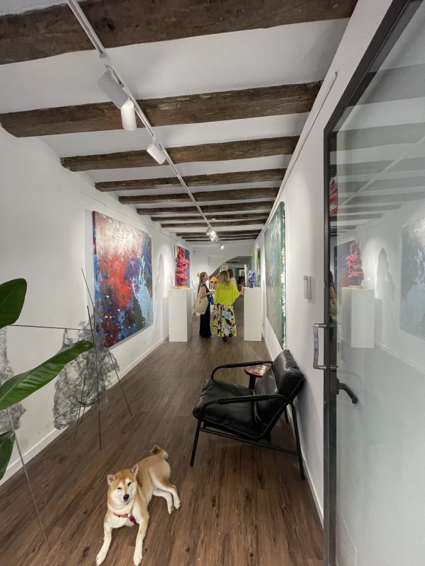 Simphony  at Art Dom Gallery