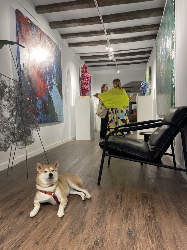 Simphony  at Art Dom Gallery